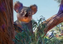 Planet Zoo : sortie du Planet Zoo Australia Pack Planet Zoo Australia Pack
