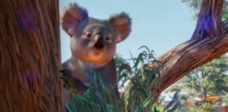 Planet Zoo : sortie du Planet Zoo Australia Pack Planet Zoo Australia Pack