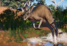 Planet Zoo : annonce du Planet Zoo Australia Pack Planet Zoo Australia Pack