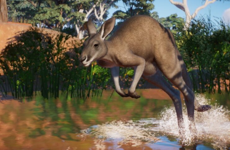 Planet Zoo : annonce du Planet Zoo Australia Pack Planet Zoo Australia Pack