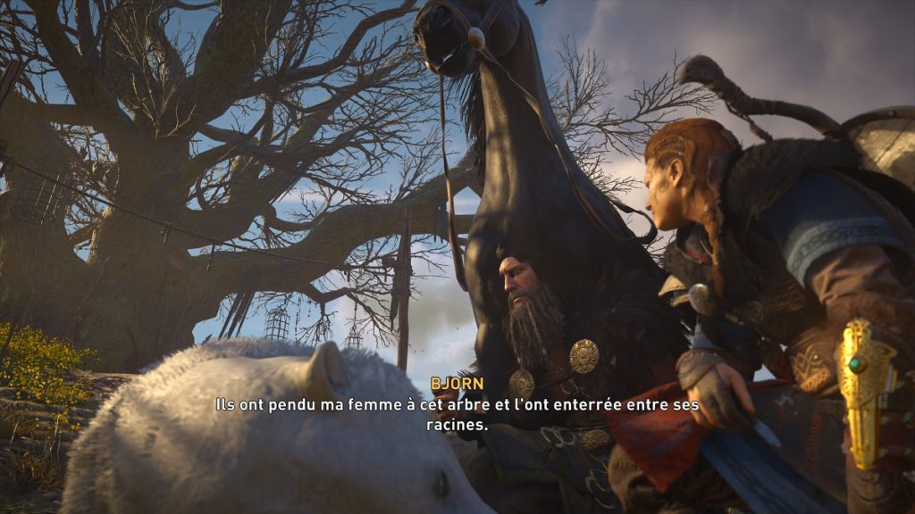 Assassin's Creed Valhalla Avis