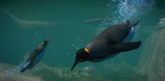 Planet Zoo : le pack Aquatique va faire des remous Planet Zoo Pack Aquatique