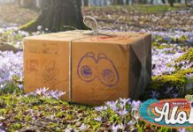 Pokémon GO : l’arrivée de la Saison d’Alola Pokémon GO Alola