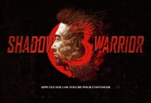 Avis Shadow Warrior 3