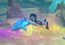Dolphin Spirit Mission Océan